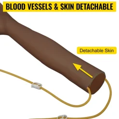 VEVOR Phlebotomy Practice Kit, Dark Skin IV Practice Kit Venipuncture Learning Phlebotomy Practice Arm Kit with Infusion Stand for Nurse, Medical Students