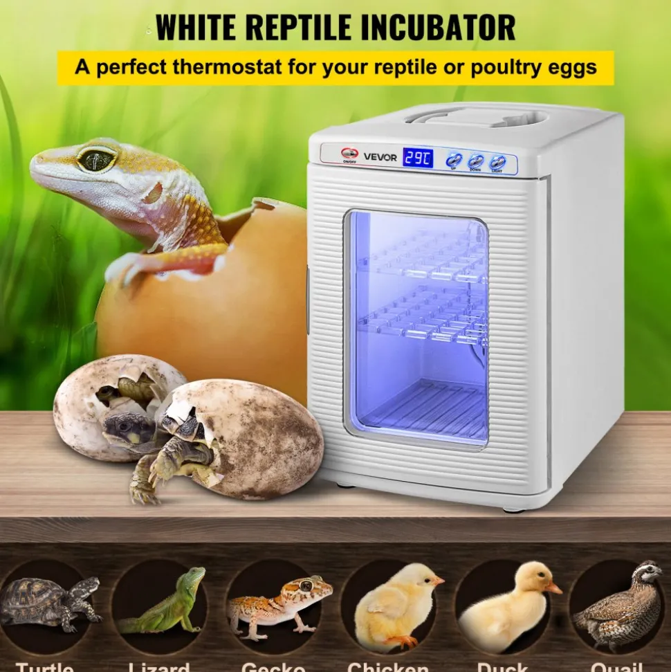 VEVOR Reptile Incubator, 25L Scientific Lab Incubator, Cooling and Heating 5 °C to 42 °C Automatic Incubator, 12V/110V White Reptile Egg Breeding Hatchery Work for Thermostats Snakes and Turtles