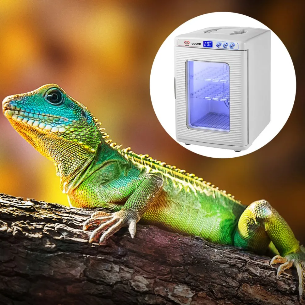 VEVOR Reptile Incubator, 25L Scientific Lab Incubator, Cooling and Heating 5 °C to 42 °C Automatic Incubator, 12V/110V White Reptile Egg Breeding Hatchery Work for Thermostats Snakes and Turtles