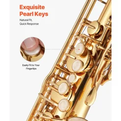 VEVOR Tenor Saxophone, B Flat, Professional Brass Saxophone Beginner Kit with Carrying Case, Mouthpiece, Straps, Cleaning Cloth, Gloves, Neck Strap, 23 Keys Tenor Sax Kit, for Beginners Students, Gold