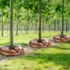 VEVOR Tree Watering Rings, 4 Pcs 16 Gallons Tree Watering Bags, 6-9 Hours Slow Release, Refillable Planting Water Bags, Water Saving, Heavy Duty Watering System for Shrub Tree Root Drip Irrigation