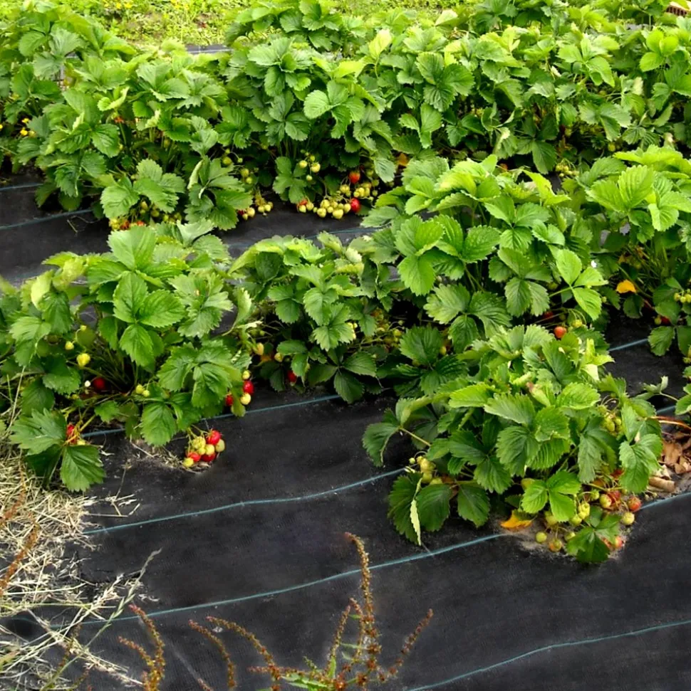 VEVOR Weed Control Fabric 6ft x 300ft - Geo Textile Fabric Heavy Duty - Woven Ground Cover for Commercial Greenhouse, Yard, Garden Barrier Cloth Blocker Mat