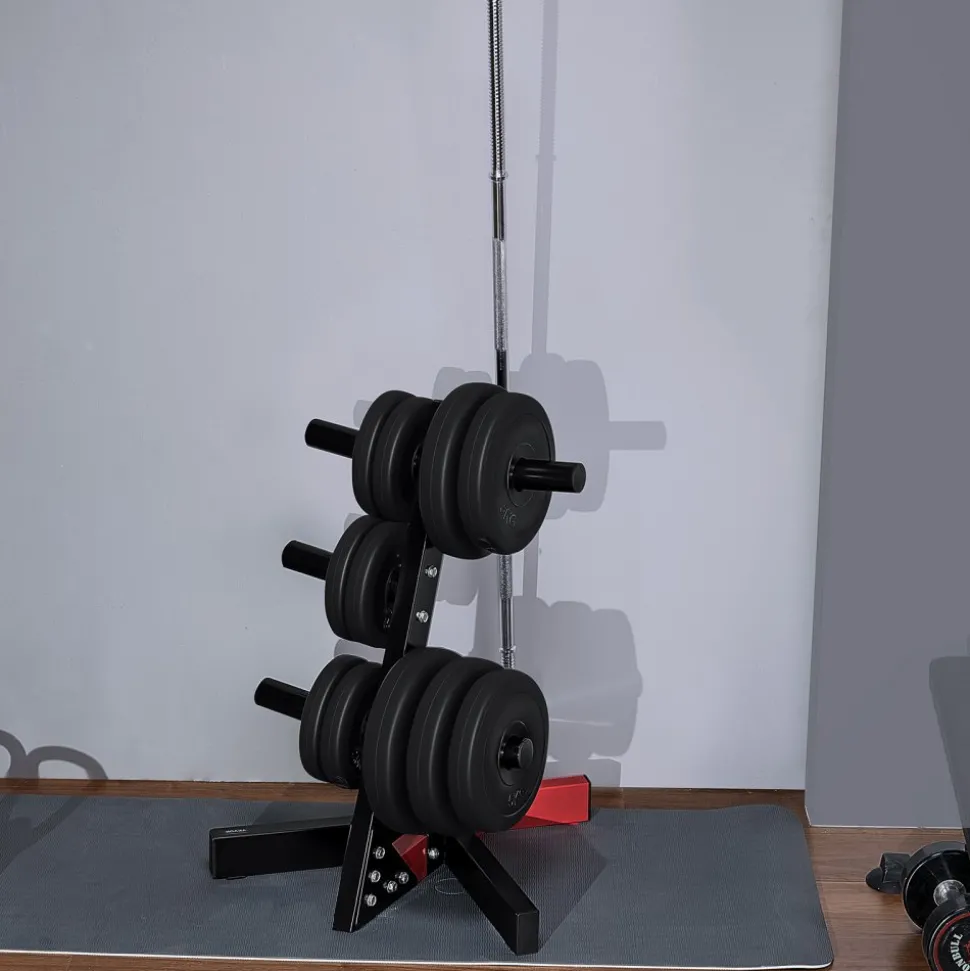VEVOR Weight Plate Rack, L Frame Weight Plate Tree for 2-Inch Weight Plates, Standard Weight Plate Tree, 500 lbs Load Capacity Weight Storage Holder, Home Gym Barbell Rack Storage Stand, Black & Red